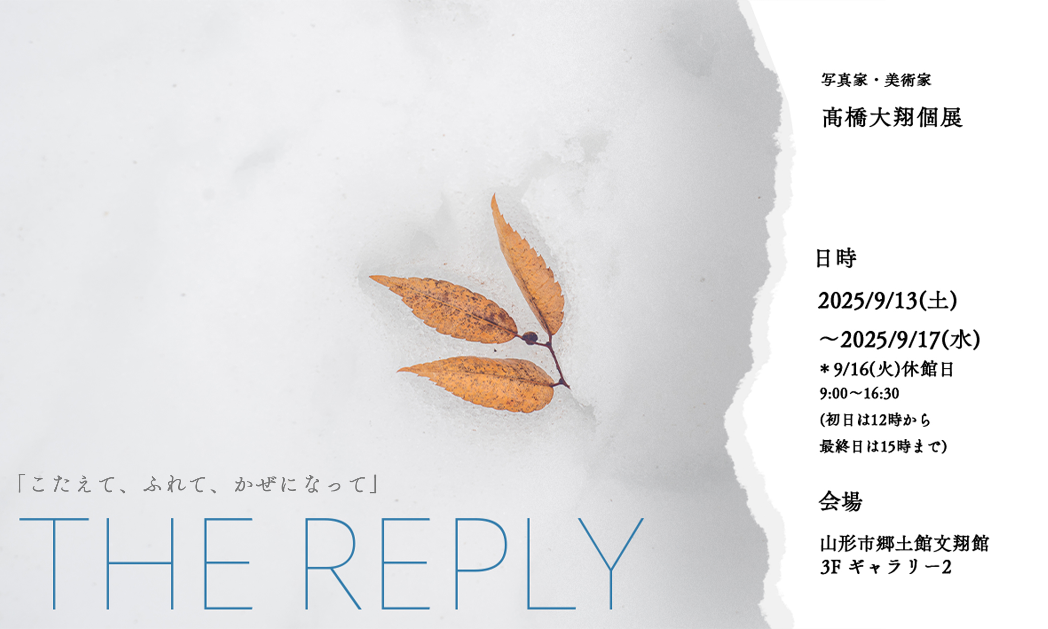 THE REPLY メインビジュアル